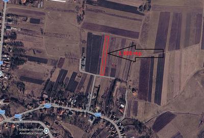 0% Comision | Teren Intravilan 1.400mp | zona de case | Deusu-Chinteni - 1