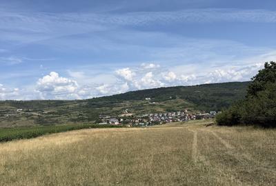 Teren Construcții extravilan de 8105 mp, în Iris