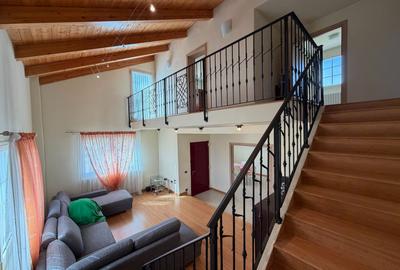 Casa cu teren 10.000mp si foarte multe posibilitati - 10
