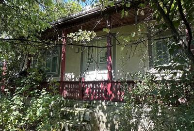 Casă individuală cu 3 camere în Grigoreni