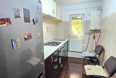 Apartament cu 2 camere semidecomandat în Dacia