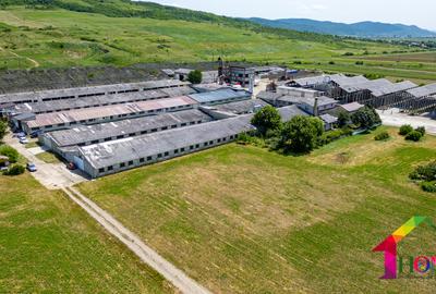 Teren 100.000 mp + Spatii Industriale Bacau - 16