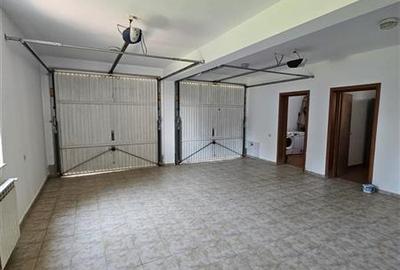 IANCU NICOLAE, S+P+1, 6 CAMERE, 410 MP, PISCINA, CURTE SUPERBA! - 27