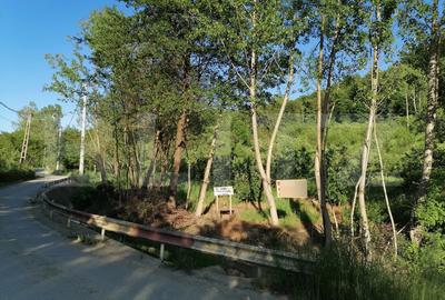 Teren Construcții intravilan de 14400 mp, în Gemenea-Brătulești