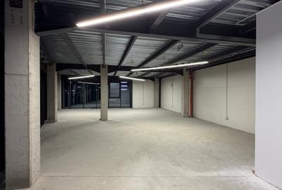Showroom + hale depozitare centura Nord Chitila - 10