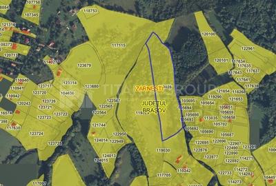 Teren intravilan, cu PUZ, Bran Tohanita,  SE ACCEPTĂ ȘI SCHIMB - 9