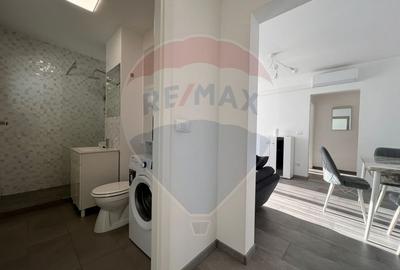 De închiriat apartament cu 2 camere în zona Nufarul - 11