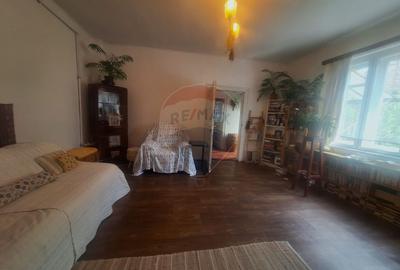 Casa cu gradina superba - o oaza verde in Sibiu - 3