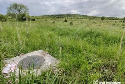 8.700 mp pentru dezvoltare rezidentiala la 3 km de CREIC - Chinteni - 8