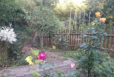 Casă cu gradina in zonă liniștită cu acces privat - 2