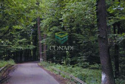 Oportunitate-Teren Snagov cu Deschidere Directa Lac si Padure 12.135mp - 2