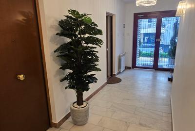 Studio premium  – Rond Charles de Gaulle, Herăstrău, Primăverii, Aviatorilor - 3