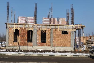 Vile individuale padurea Rosu - 20