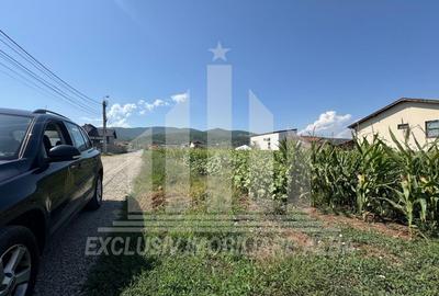 Teren intravilan | De vanzare | 5000 mp | 150 ml deschidere | Micesti - 6