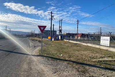 Teren investitie 34.000 mp Centura Caransebes - 9