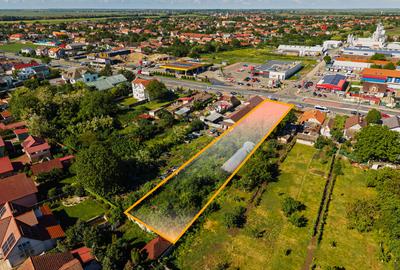 Casa cu teren 1.876 mp, la soseaua principala, vis-a-vis de Profi si Penny, Sag - 10