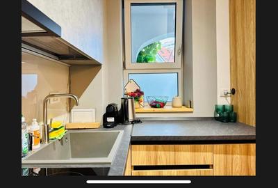 Apartament superb Take Ionescu - 12