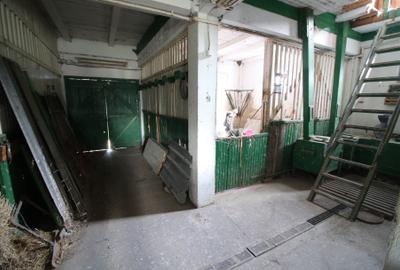 Vand ferma agricola jud. Galati -150.000 euro - 7