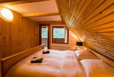 De vanzare casa de vacanta/locuit  in Lunca Bradului - 5