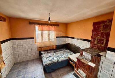 Casă cu 4 camere si teren 7727 mp Blidari - 4