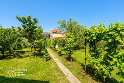 Casa cu teren 688 mp, 2 corpuri de cladire, Parneava - 20