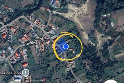 Teren de Vanzare in Plopu - Darmanesti, cu toate utilitatile - 7