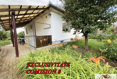 Casa de vanzare in Alba Iulia - Cetate - Schit - 2