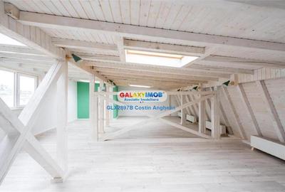 Vila Lux 5 Camere - Romana - 13
