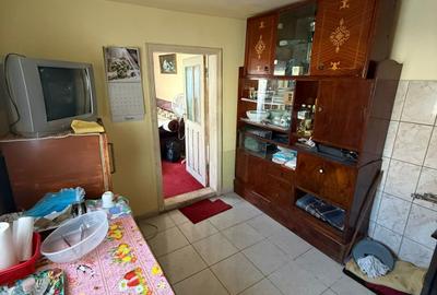 Casa de vanzare Zona Arcasilor P+M - 15