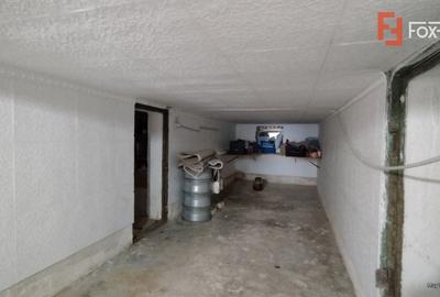 Casa individuala cu 4 camere, Sacalaz - Pivnita la demisol cu 5 incaperi - 8