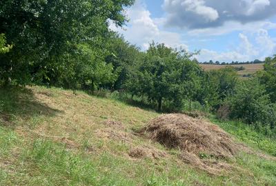 Teren intravilan pentru constructie casa - 3