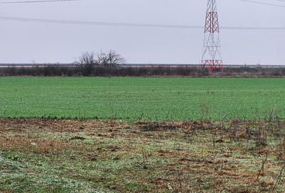 Vand teren agricol extravilan în Giroc - 2