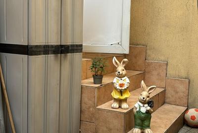 CASA CU POTENTIAL PARCUL POPA SOARE- NICOLAE DABIJA! - 13