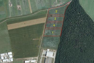 Vanzare Teren 8,9 ha Otopeni - Zona Philip Morris - 6