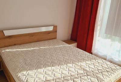Apartament 2 camere de inchiriat cu gradina Titan-Pallady - 4