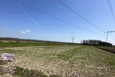 Teren de vânzare 4760Mp Stoilesti - 8
