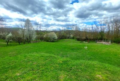 Gospodarie, casa cu 5 camere si 8272 mp teren, in Oarda - 2