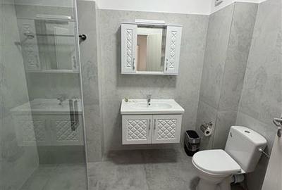 Inchiriere apartament 1-2-3 cam Militari - 6