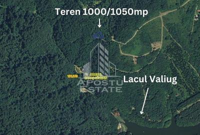 Teren intravilan, 1000 și 1050mp front stradal generos, Valiug - 1