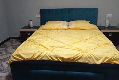 Casa 5 camere 220 mp-teren 2500 mp- terasa/garaj-Dealul Dumitrei - 3