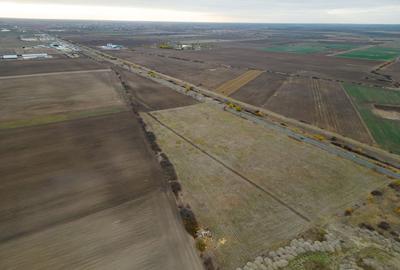 Teren 22.500 mp–Pecica, jud. Arad,Posibilitate PUZ - 2