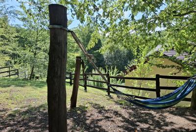 Pensiune agroturistică lângă București | Business funcțional | Iedera de Sus, DB - 15