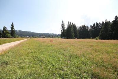 Poiana lui Manole - teren Intravilan - 17