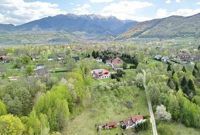 Teren intravilan Bran- Predelut - 12