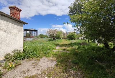 Teren parcelabil, 4,1 Ha, Brașov - Bod. Negociabil! - 8