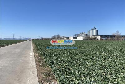 Vanzare teren industrial Paulesti Prahova gata de construit - 4