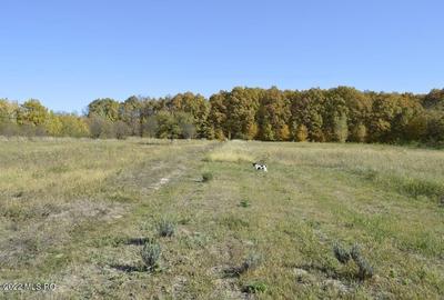 Topoloveni - Conacul Ion Mihalache, Domeniu pe 5 Hectare! - 60