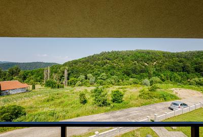 De vanzare pensiune in Sasca Montana - clasificare 3 margarete - 2