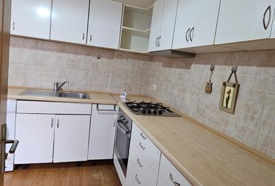 Casa Cenreul Civic-Mesota,mobilata-utilata,500 Euro - 4