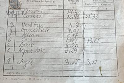 Apartament 2 camere decomandat - metrou Dristor - 10